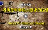 第30集 活摘是中共杀人历史的延续 第30集 活摘是中共杀人历史的延续
